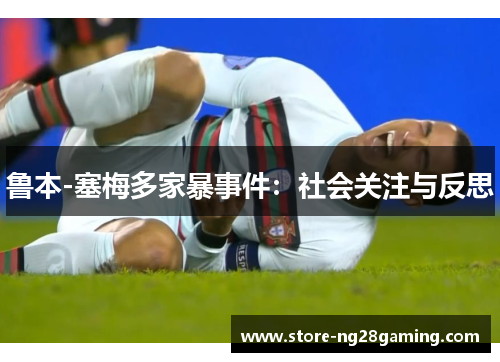 鲁本-塞梅多家暴事件：社会关注与反思