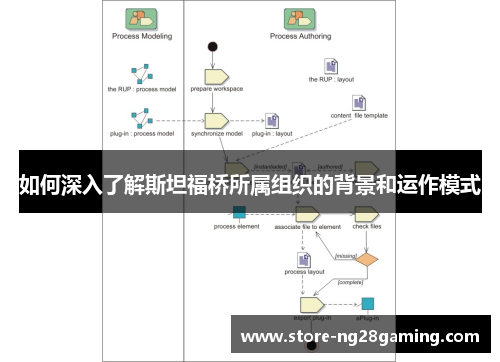 如何深入了解斯坦福桥所属组织的背景和运作模式