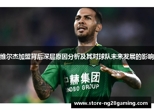 维尔杰加盟背后深层原因分析及其对球队未来发展的影响